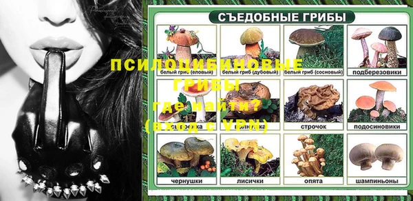 гидропоника Арсеньев