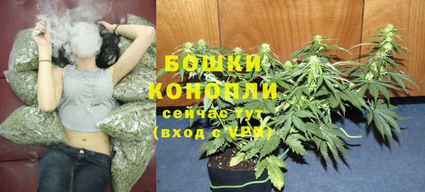 гидропоника Арсеньев