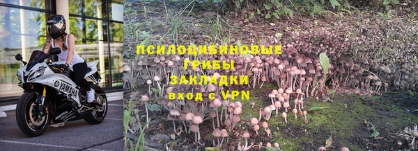 хмурый Армянск