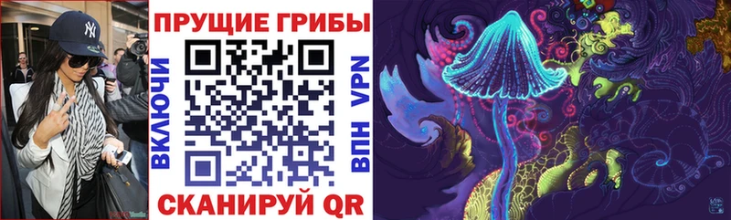 Галлюциногенные грибы Psilocybine cubensis  Салехард 